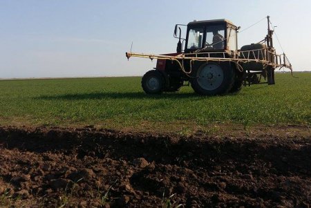В Тузловских лиманах восстанавливают степь, пострадавшую от химикатов с фермерских полей