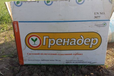 В Тузловских лиманах восстанавливают степь, пострадавшую от химикатов с фермерских полей