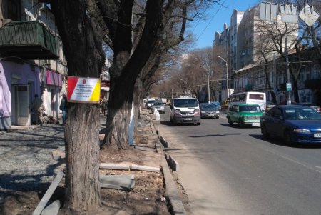 На некоторых улицах Малиновского и Суворовского районов завершены работы по капитальному ремонту тротуаров (фото)