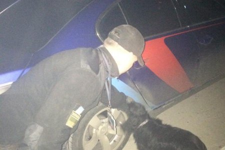 Служебный пес пограничников помог обнаружить патроны в автомобиле иностранца (фото)
