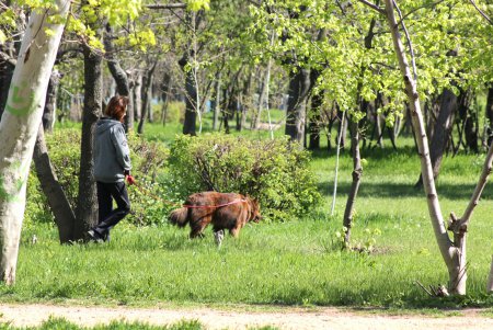 Дендропарк Победы преображается (фоторепортаж)
