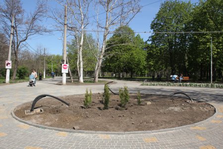 Дендропарк Победы преображается (фоторепортаж)