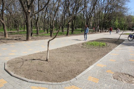 Дендропарк Победы преображается (фоторепортаж)
