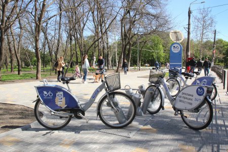 Дендропарк Победы преображается (фоторепортаж)