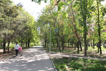 Дендропарк Победы преображается (фоторепортаж)