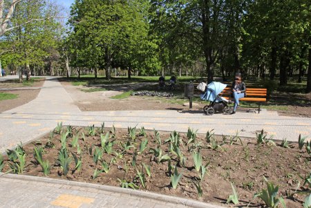 Дендропарк Победы преображается (фоторепортаж)