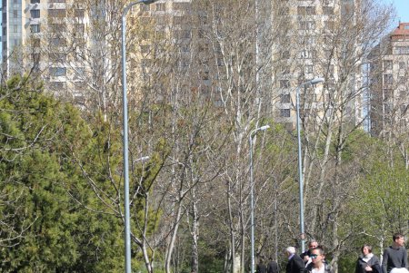 Дендропарк Победы преображается (фоторепортаж)