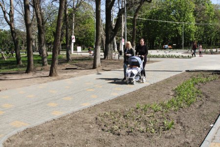 Дендропарк Победы преображается (фоторепортаж)