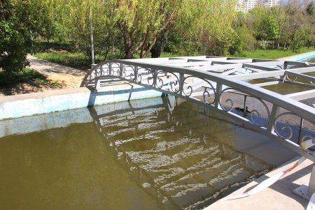 Дендропарк Победы преображается (фоторепортаж)