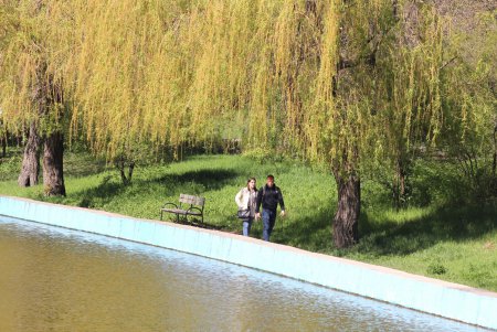 Дендропарк Победы преображается (фоторепортаж)