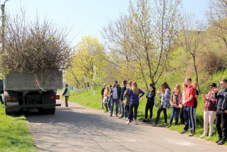 На склонах парка «Юбилейный» высадили почти сотню молодых деревьев (фото)
