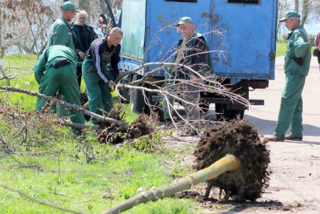 В парке «Юбилейный» высадили саженцы на месте срубленных деревьев (фоторепортаж)