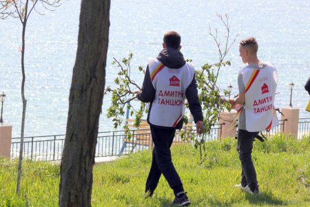 В парке «Юбилейный» высадили саженцы на месте срубленных деревьев (фоторепортаж)