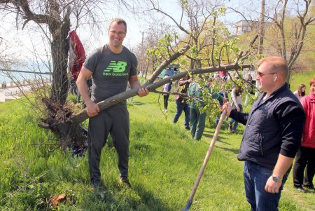 В парке «Юбилейный» высадили саженцы на месте срубленных деревьев (фоторепортаж)