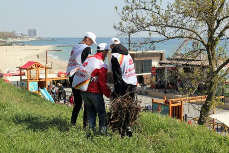 В парке «Юбилейный» высадили саженцы на месте срубленных деревьев (фоторепортаж)