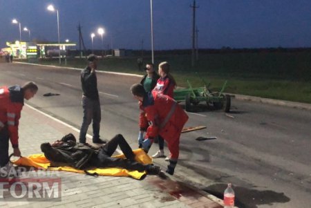 В Измаиле пьяный водитель сбил повозку: погибла лошадь (фото)
