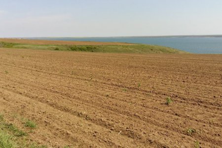 Прибрежную зону Тилигульского лимана незаконно вспахивают (фото)