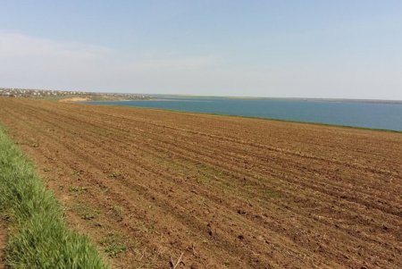 Прибрежную зону Тилигульского лимана незаконно вспахивают (фото)