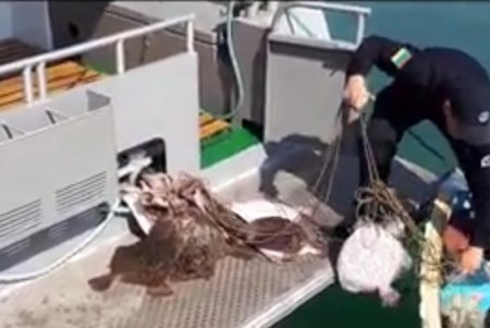 Морская охрана повторно задержала браконьера (фото) 