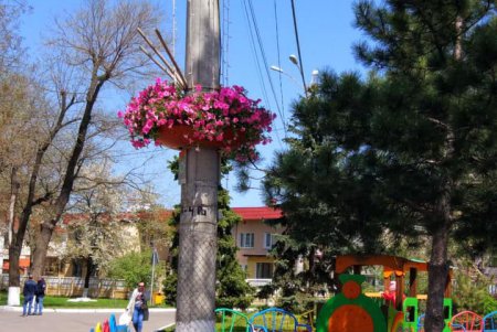 ОТГ под Одессой меняет пластиковые бутылки на цветы (фото)
