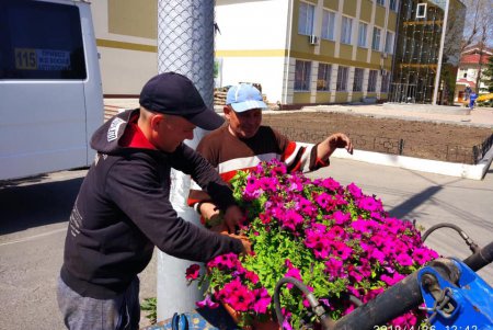 ОТГ под Одессой меняет пластиковые бутылки на цветы (фото)