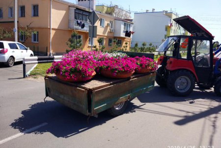 ОТГ под Одессой меняет пластиковые бутылки на цветы (фото)