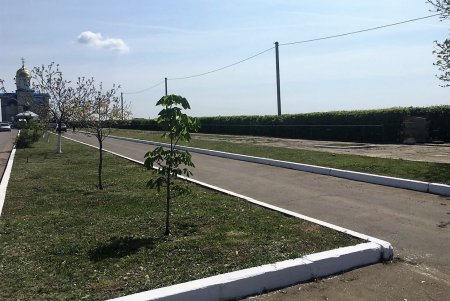 Городские кладбища подготовили к поминальным дням (фото)
