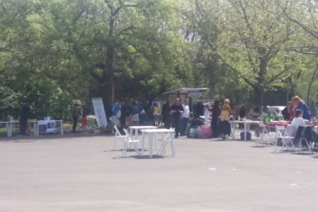 В парке Шевченко стартовал первый Одесский экофестиваль (фото)