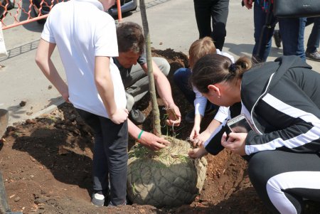 Дети и волонтеры высадили каштаны возле школы в центре Одессы (фото)
