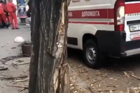 На Канатной автомобиль врезался в дерево (фото)