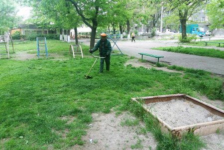 В апреле одесские коммунальщики убрали 73 аварийных дерева