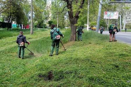 Обрезка кустов роз и прополка цветников: Одесса готовится к лету (фото)
