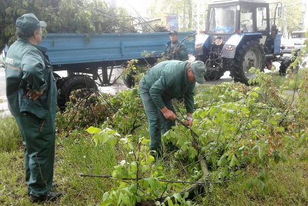 Обрезка кустов роз и прополка цветников: Одесса готовится к лету (фото)