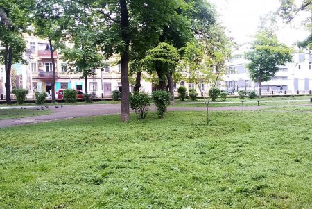 Обрезка кустов роз и прополка цветников: Одесса готовится к лету (фото)