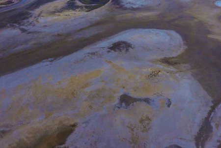 Соленый лиман в Одесской области превращается в пустыню из-за засухи (фото)