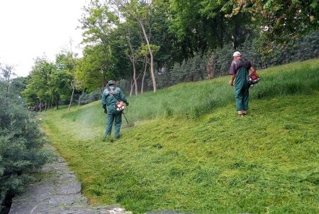 В Стамбульском парке высадили летние цветы (фото)