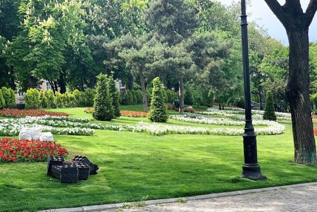 В Стамбульском парке высадили летние цветы (фото)