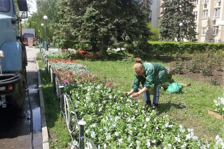В Стамбульском парке высадили летние цветы (фото)