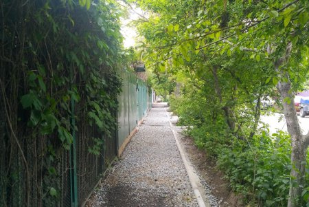 Сразу в трех районах города ремонтируют тротуары (фото)