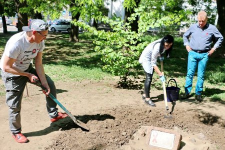 В Одессе высадили цветочную аллею в память об умерших от СПИДа (фото) 