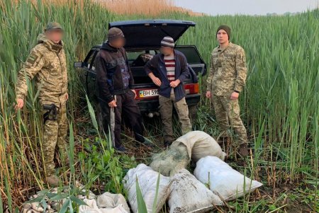 На озере Кагул браконьеры попались на горячем, выловив 500 рыб (фото)