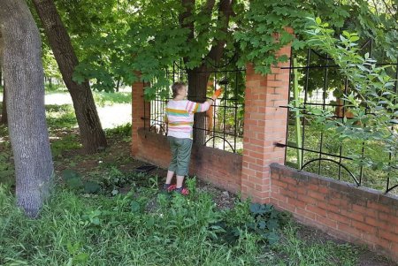 Санитарные зоны возле одесских бюветов приводят в порядок (фото)