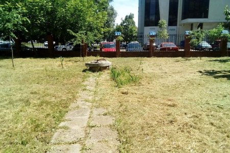 Санитарные зоны возле одесских бюветов приводят в порядок (фото)