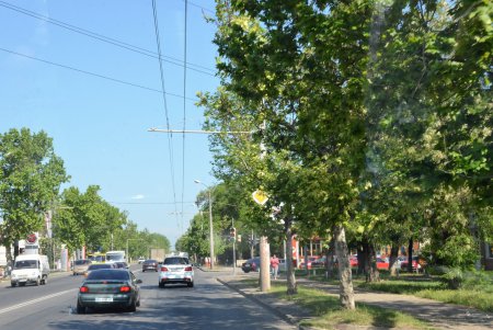 В Суворовском районе проверили санитарное состояние улиц (фото)