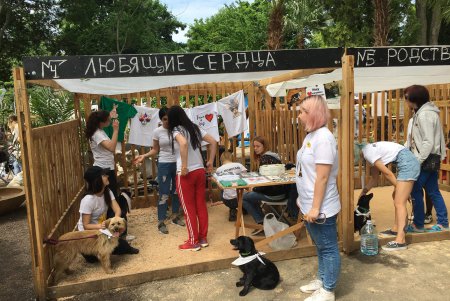 В Одессе проходит благотворительный фестиваль в поддержку животных из приютов (фото)