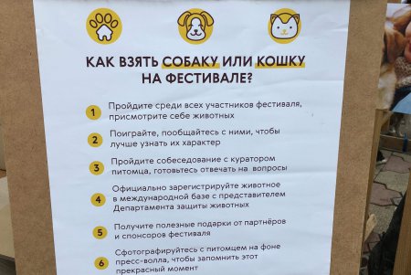 В Одессе проходит благотворительный фестиваль в поддержку животных из приютов (фото)