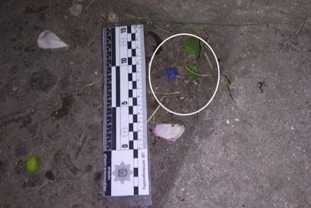 В районе Дюковского парка задержали наркокурьеров (фото)