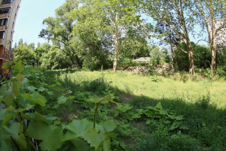 В Приморском районе будет благоустроен сквер (фото)