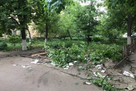 За неделю в городе демонтировали 28 незаконно размещенных элементов торговли (фото)