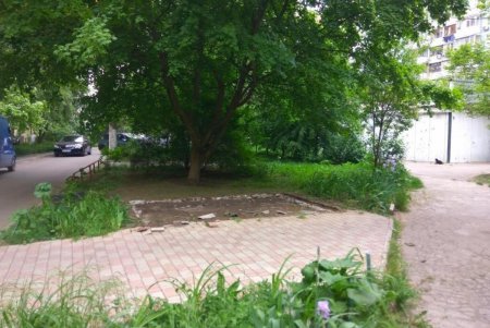 За неделю в городе демонтировали 28 незаконно размещенных элементов торговли (фото)